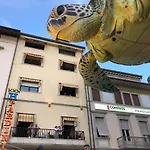 Pardini Viareggio
