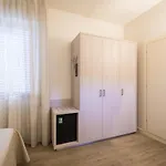 Pardini Viareggio