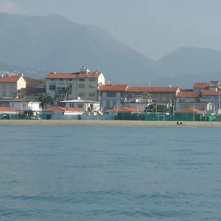 Pardini