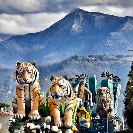 Pardini 3* Viareggio