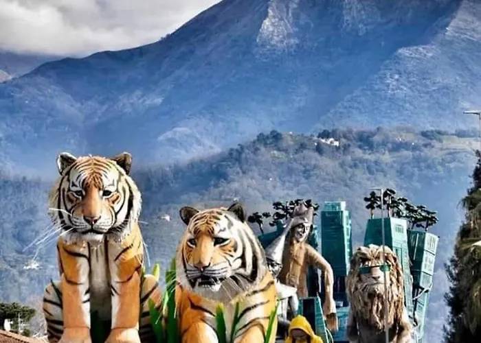 Pardini 3* Viareggio